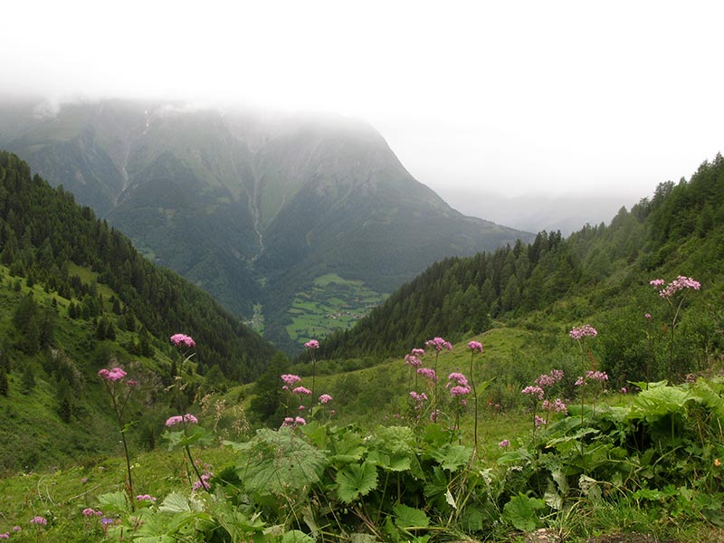 oberstkogel